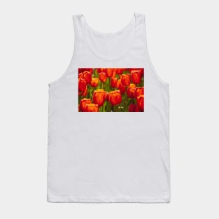 Red Tulip field Tank Top